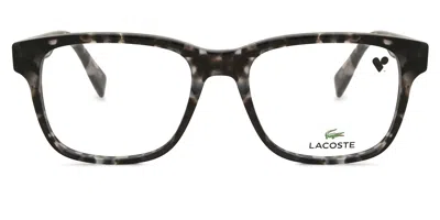 Lacoste L2937 Men's Glasses, Tortoiseshell, Size 54 In Gray