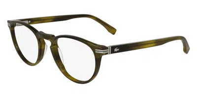 Lacoste L2966 275 Striped Khaki 50mm In Multi