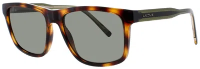 Lacoste L6025s Men's Plastic Sunglasses 56-17-145 In 214 - Havana / Green