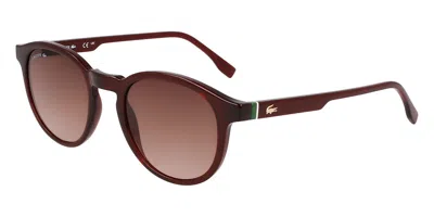 Lacoste L6030s N 601 Men's Sunglasses Red Size 50 In Brown