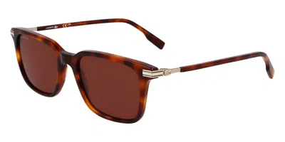 Lacoste L6035s 214 Men's Sunglasses Tortoiseshell Size 53 In Brown
