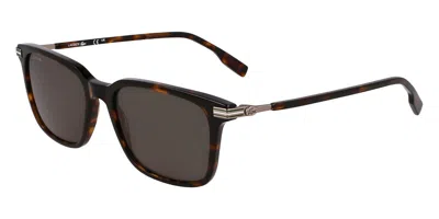 Lacoste L6035s 230 Men's Sunglasses Tortoiseshell Size 53 In Brown