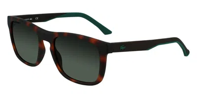 Lacoste L956s 230 Men's Sunglasses Tortoiseshell Size 55 In Brown