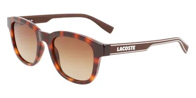 Lacoste L966s 230 Men's Sunglasses Tortoiseshell Size 50 In Brown