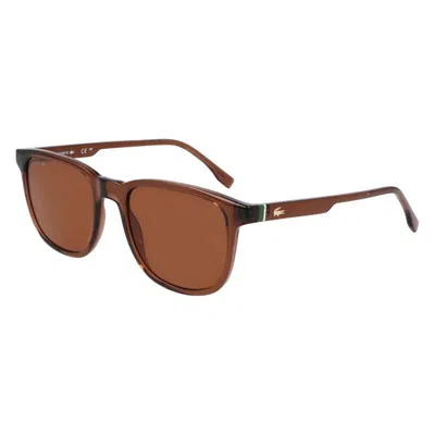 Lacoste L6029s 210 In Brown