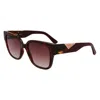 Lacoste Tortoiseshell Square Sunglasses In Black