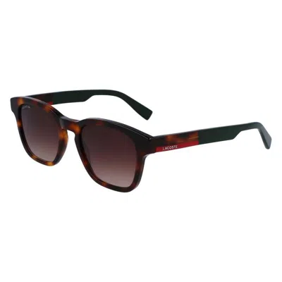 Lacoste L986s 240 In Brown
