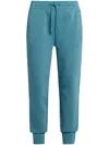 Lacoste Logo-appliqué Cotton Track Pants In Blue