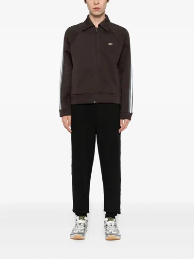 Lacoste Logo-appliqué Jacket In Brown