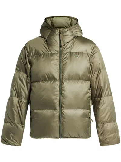 Lacoste Logo-patch Padded Jacket In Green