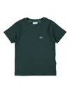 Lacoste Kids Organic Cotton T-shirt In Green