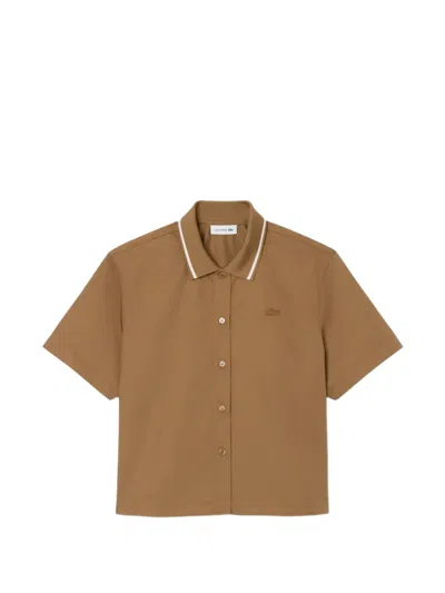 Lacoste Logo-embroidered Short-sleeve Shirt In Brown