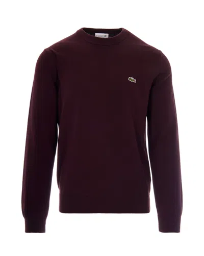 LACOSTE MAGLIONE LOGO OXALIS