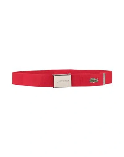 Lacoste Man Belt Red Size 39.5 Polyester, Polypropylene, Viscose