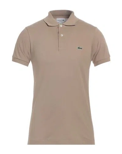 Lacoste Man Polo Shirt Sand Size 7 Cotton In Beige