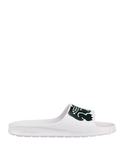 Lacoste Man Sandals White Size 9 Rubber