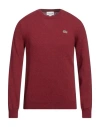 Lacoste Man Sweater Burgundy Size 5 Wool, Polyamide In Red