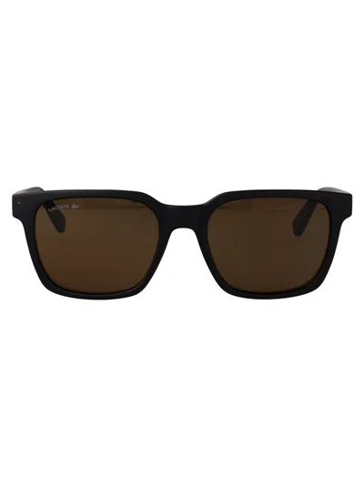 Lacoste Matte Black Acetate Sunglasses In Brown
