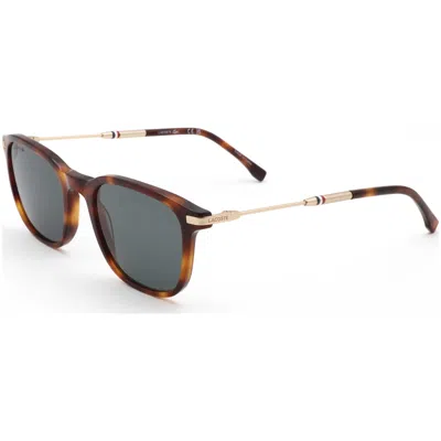 Lacoste Men's 51mm Brown Sunglasses