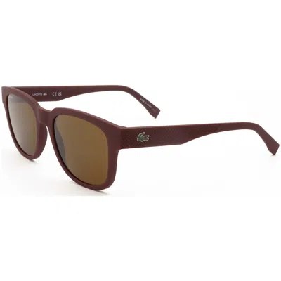 Lacoste Men's 53 Mm Brown Sunglasses
