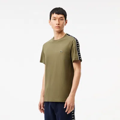 Lacoste Men's Logo Stripe Cotton T-shirt - 4xl - 9 In Green