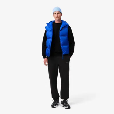 Lacoste Men's Regular Fit Sweatpants - L - 5 In Black
