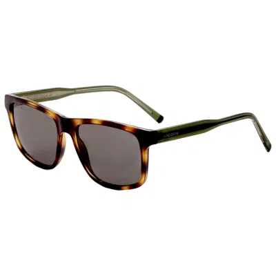 Lacoste Men's Sunglasses In Multi