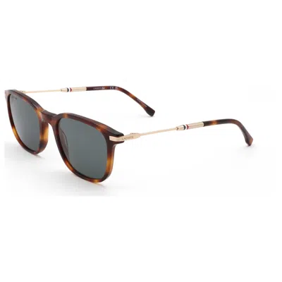 Lacoste Men's Sunglasses In Brown