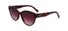 Lacoste Brown Injected Sunglasses