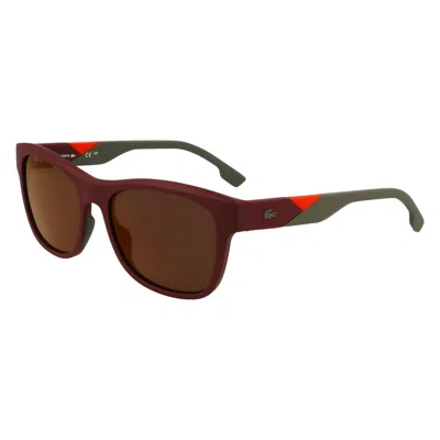 Lacoste Multicolor Injected Sunglasses In Burgundy