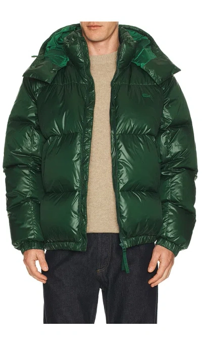Lacoste Nylon Shiney Puffer Jacket In Green