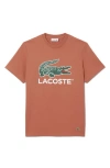 Lacoste Oversize Croc Logo Cotton Graphic T-shirt