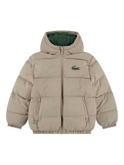 Lacoste Kids' Padded Hooded Jacket In Neutral