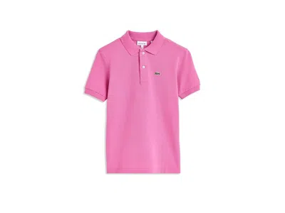Lacoste Petite Pique Polo (big Kid) Boy's Clothing Fushia: Sm (big Kid) In Pink