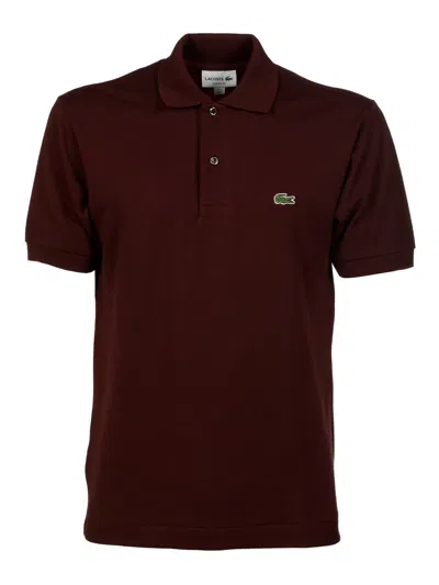 Lacoste Piqué Polo In Brown