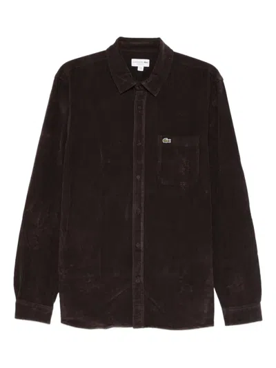 Lacoste Regular Fit Corduroy Button-up Shirt In Brown