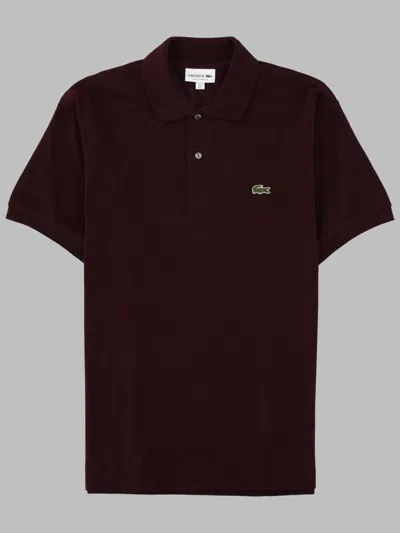 Lacoste Polo Con Logo In Brown