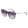 Lacoste Purple Acetate Sunglasses In Blue