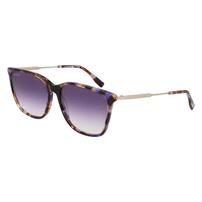 Lacoste Purple Acetate Sunglasses In Blue