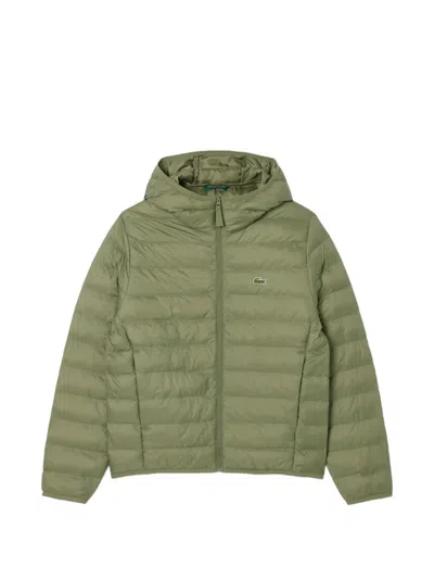 Lacoste Quilted Hooded Puffer Jacket In Green