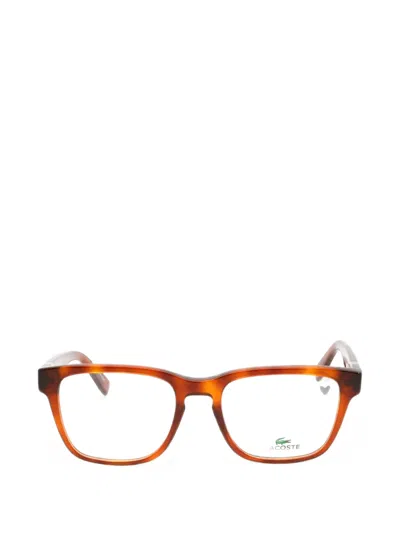 Lacoste Rectangle-frame Glasses In Brown