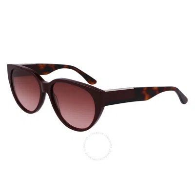 Lacoste Red Gradient Cat Eye Ladies Sunglasses L985s 603 59 In Brown