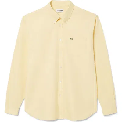 Lacoste Regular Fit Oxford Button-down Shirt In Yellow
