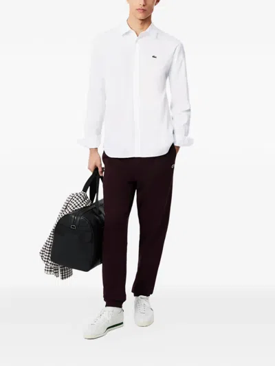 Lacoste Camicia Regular Fit In Tessuto Pinpoint In White