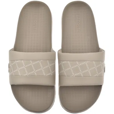 Lacoste Serve Sliders Beige In Multi