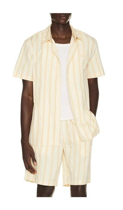Lacoste Shirt