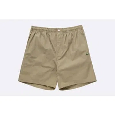 Lacoste Short Lion In Brown