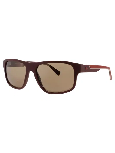 Lacoste Multicolor Injected Sunglasses In Burgundy
