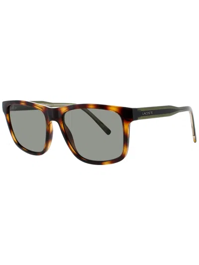Lacoste Sleek Modern Sunglasses In Brown