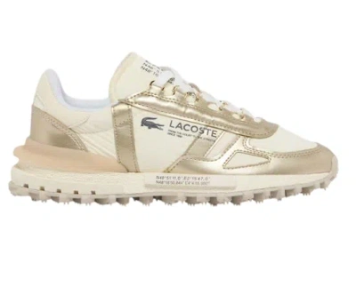 Lacoste Sneakers Gold In Multi